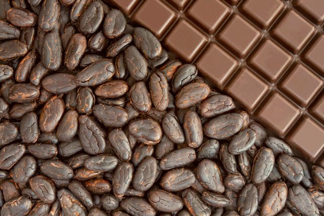 Mastering the Art of Bean-to-Bar: A Guide for Chocolatiers